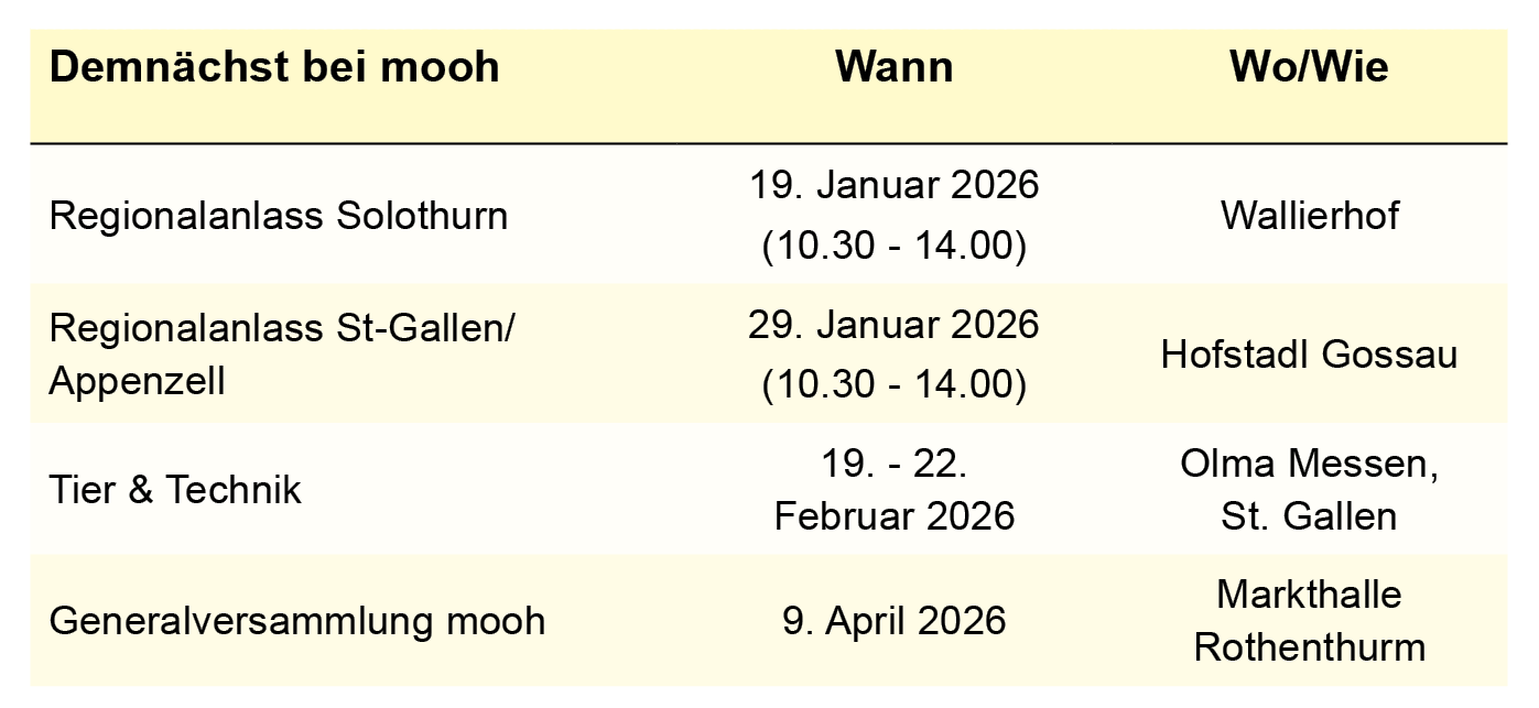 Liste Veranstaltungen Januar 2026 (p-info)